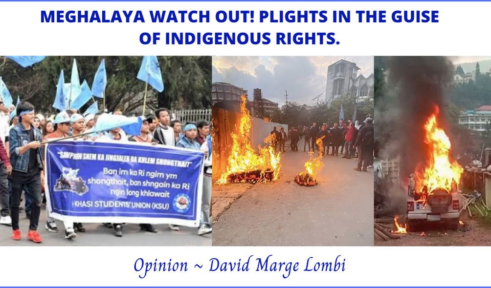 MEGHALAYA WATCH OUT! PLIGHTS IN THE GUISE OF INDIGENOUS RIGHTS. Opinions & Special Articles By David Marge Lombi.