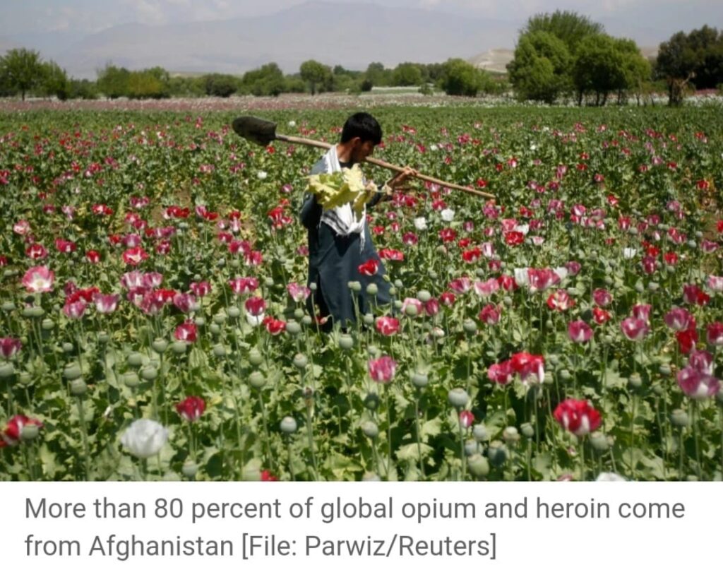 Opium: Afghanistan’s drug trade that helped fuel the Taliban