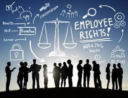 Some facts about Labour Law