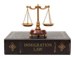 Some facts about Immigration Law