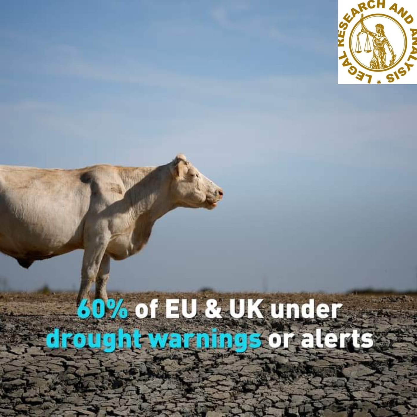 60% of the EU and UK are under drought warnings or alerts.