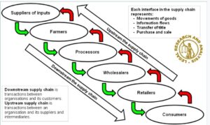 DISRUPTION IN UK’S FOOD SUPPLY CHAINS 
