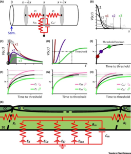 Electrical Wiring and Long-Distance Plant Communication
