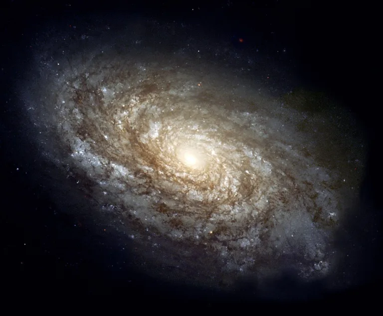 ALIENS ENCOUNTER: -EXPECTED IN THE NEXT TWENTY YEARS