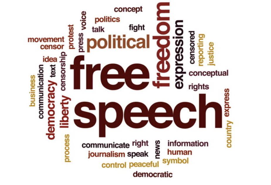 Is the government really guaranteed the freedom of speech and expression?