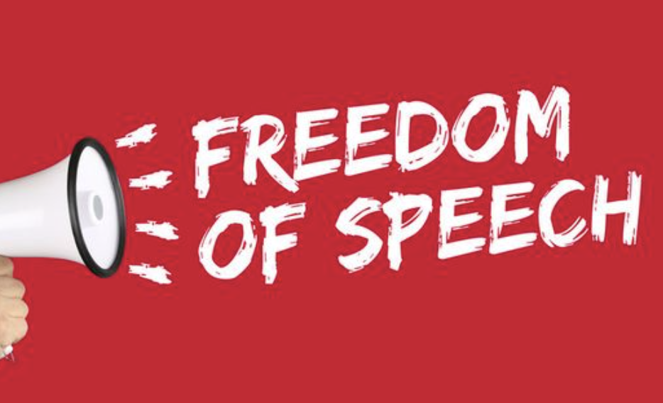 Is the government really guaranteed the freedom of speech and expression?
