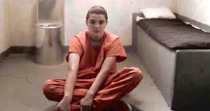 Children in the Criminal and Juvenile Justice System