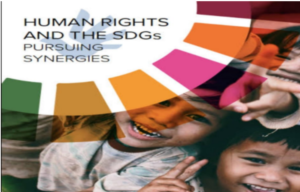 Exploring the Relationship among the Sustainable Development Goals and Human Rights