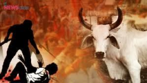 The Dark Side of Cow Vigilantism: Unveiling Human Rights Violations