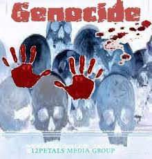 Genocide and Human Rights Violation