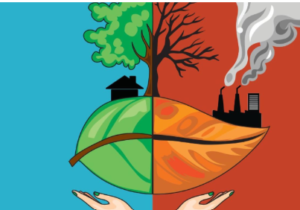 Bridging the Gap: Promoting Environmental Justice in India.