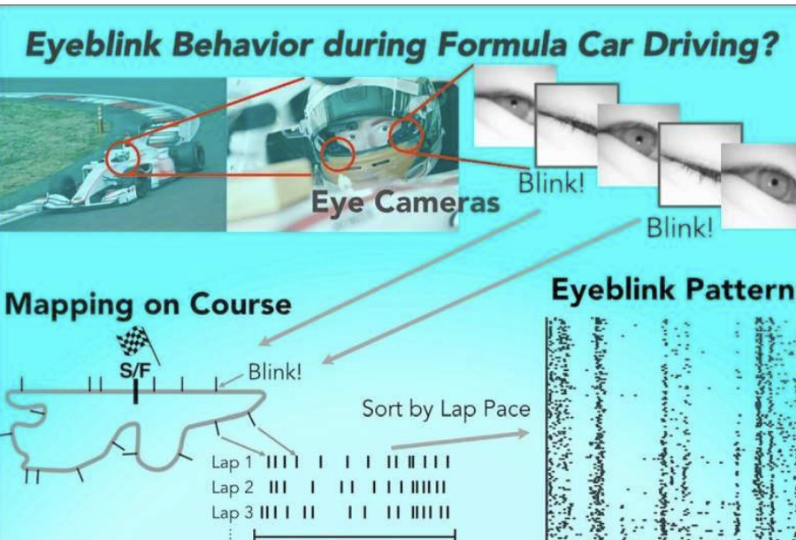 A recent study by a neuroscientist found that Formula One race car drivers tend to blink at the same places in each lap.