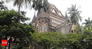 We have not stayed adoptions”: Bombay High Court clarifies, Court to continue hearing matter