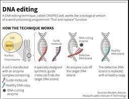 Socio, Economic and Legal Implications of Gene Editing.