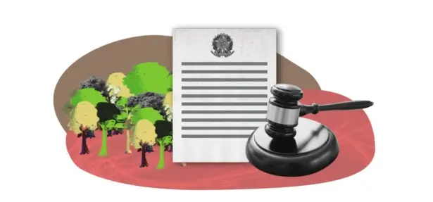 Environmental Crimes - Image 1