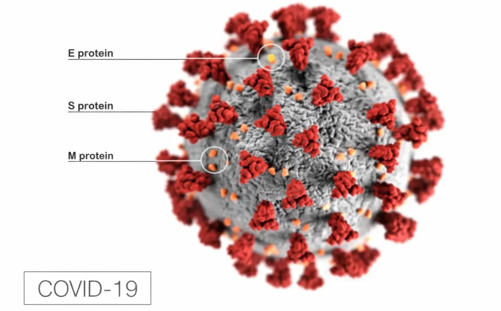 IMPACT OF COVID-19 IN INDIA: AN AWFUL HISTORY STILL IN THE MAKING