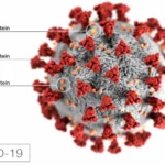 IMPACT OF COVID-19 IN INDIA: AN AWFUL HISTORY STILL IN THE MAKING