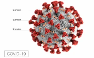 IMPACT OF COVID-19 IN INDIA 1