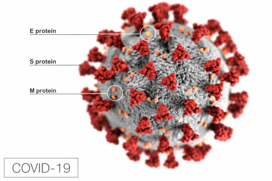 IMPACT OF COVID-19 IN INDIA 1