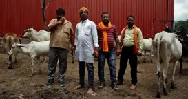 Cow Vigilantism Human Rights Violate - image 4