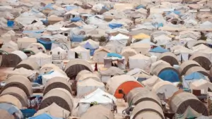 Look into the Lives of Refugees - Image 4