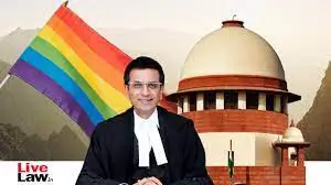 Parenthood Examining Adoption - Image 1