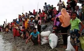 Rohingya Refugee Crisis A Humanity