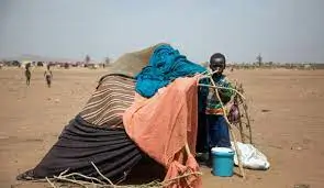 Understanding the Plight of Internal - Image 2