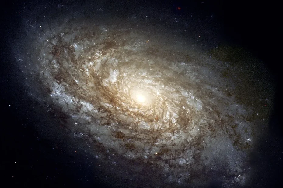 ALIENS ENCOUNTER Break Next 20 Years