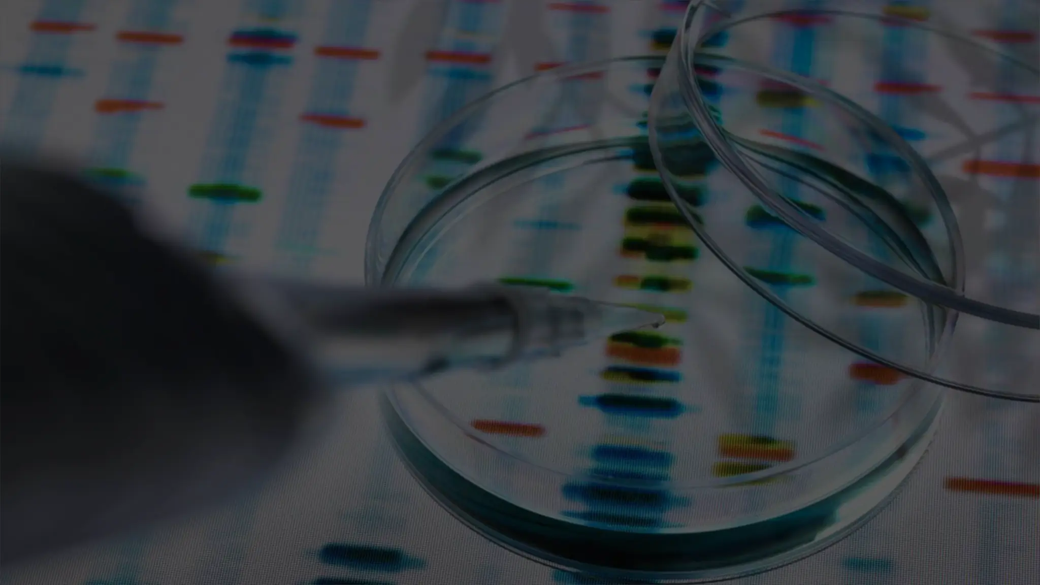 An Analysis of Article 14, Constitution of India