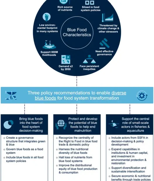 Blue Foods Addressing Global Issues
