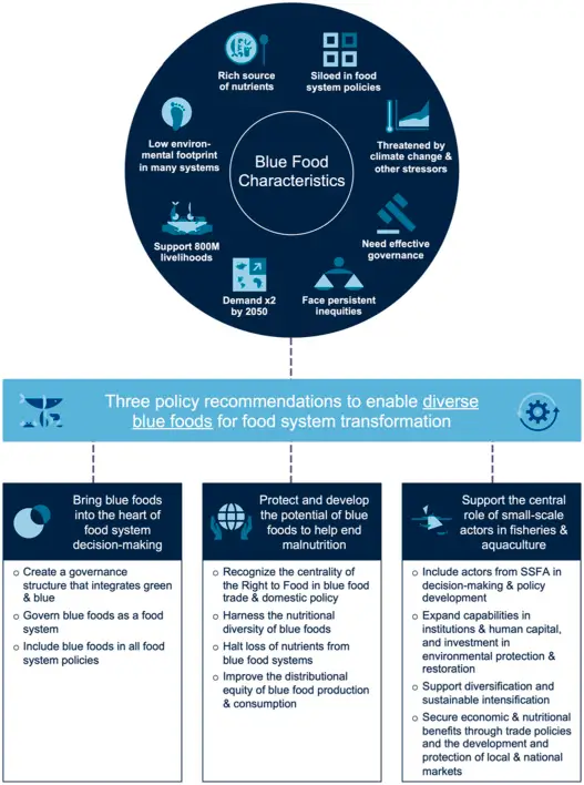 Blue Foods Addressing Global Issues