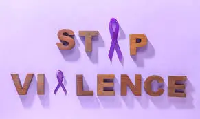 Domestic Violence Case Study - Image 2