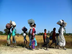 Forcibly displaced without Consent - Image 1