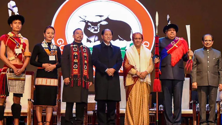Foreign Investors Nagaland’s Diverse - Image 2