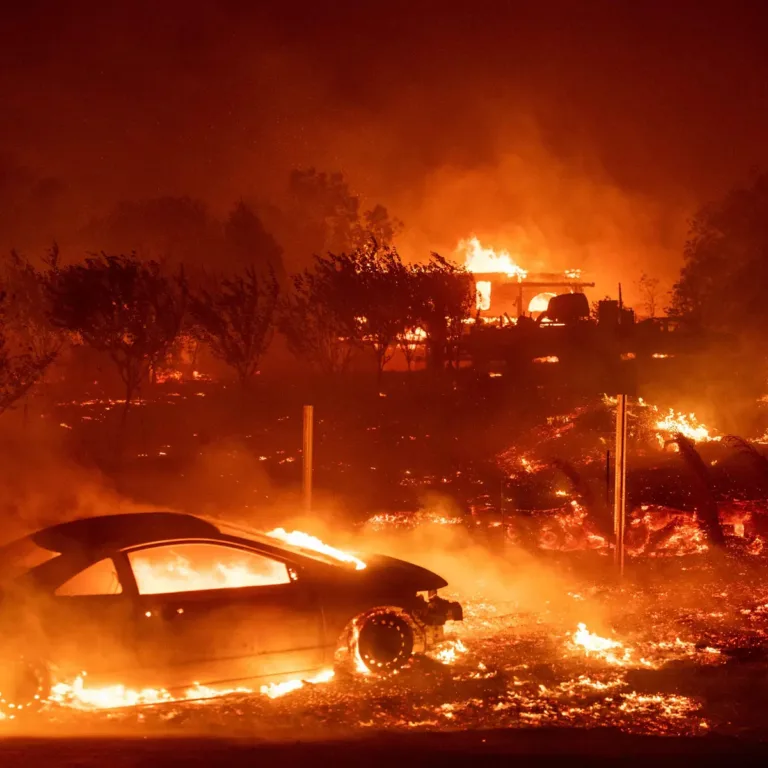 LAND GRAB CASE TO CATCH FIRE AGAIN - Image 1
