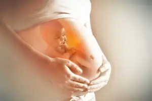 Protection of the right of the unborn child - image 1