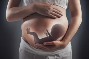 Protection of the right of the unborn child - image 2