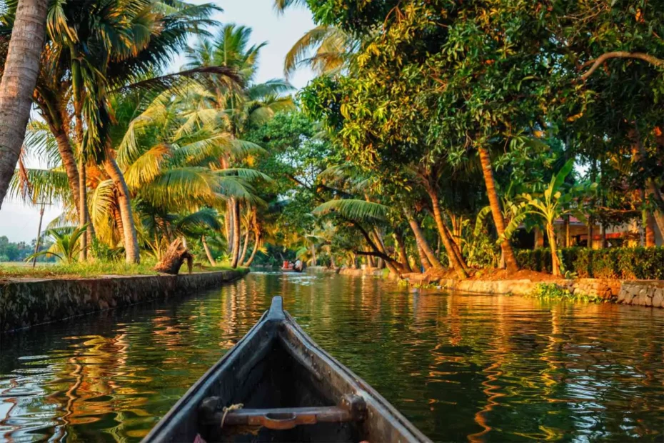 Serenity of Kumarakom Backwaters