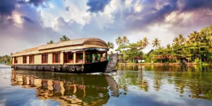 Serenity of Kumarakom Backwaters - Image 5