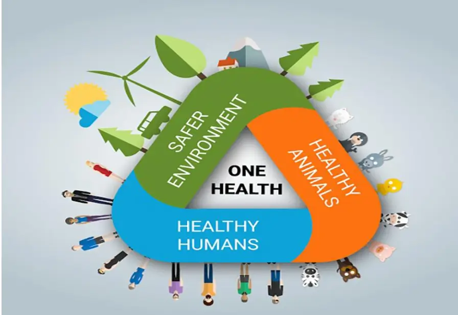 THROWING WASTAGE AT INAPPROPRIATE PLACE