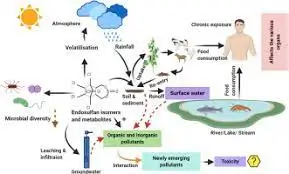Tragedy Endosulfan Victims Kasargod - Image 1