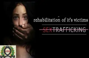 impact of Human trafficking and forced labour - Image 1